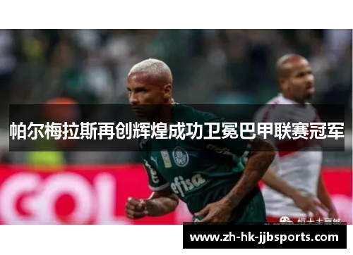 帕尔梅拉斯再创辉煌成功卫冕巴甲联赛冠军 帕尔梅拉斯再创辉煌成功卫冕巴甲联赛冠军